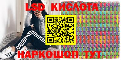 мяу мяу мука Кингисепп
